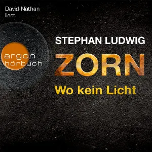 Pochette de Zorn: Wo kein Licht de David Nathan