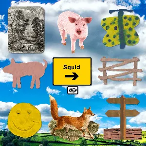 Pochette de Natural Resources de Squid