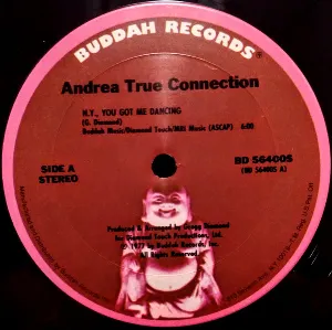 Pochette de N.Y., You Got Me Dancing / Fill Me Up (Heart to Heart) de The Andrea True Connection