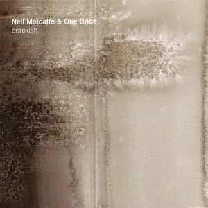 Pochette de Brackish de Neil Metcalfe