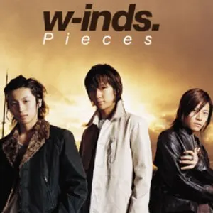 Pochette de Pieces de w-inds.