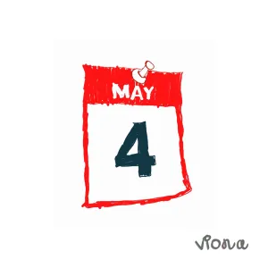 Pochette de 4 MEI de VIONA