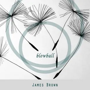 Pochette de Blowball de James Brown