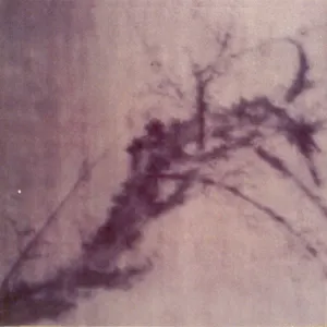 Pochette de Drowned Yellow Swans de Yellow Swans