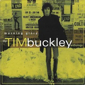Pochette Morning Glory: The Tim Buckley Anthology