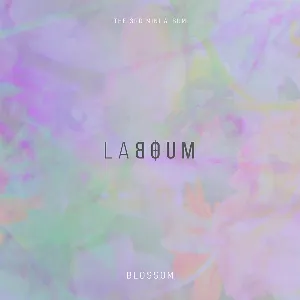 Pochette de BLOSSOM de LABOUM