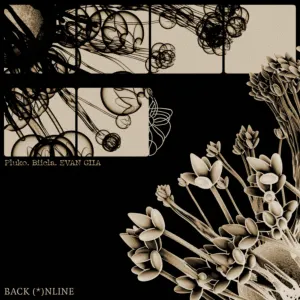 Pochette de BACK ONLINE de EVAN GIIA