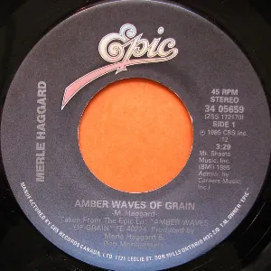 Pochette de Amber Waves of Grain de Merle Haggard