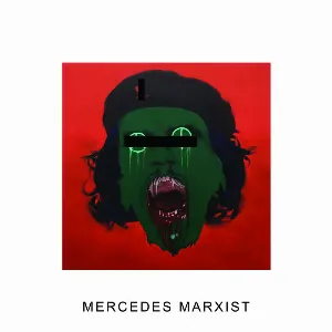 Pochette de Mercedes Marxist de IDLES