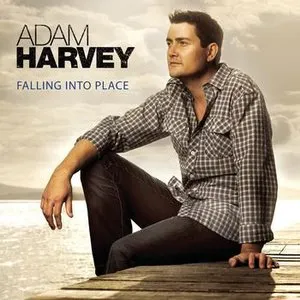 Pochette de Falling Into Place de Adam Harvey