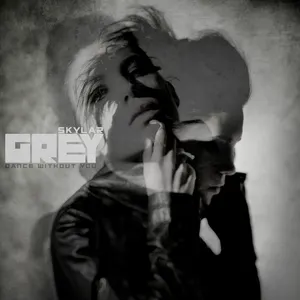 Pochette de Dance Without You (Remixes) de Skylar Grey