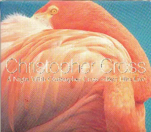 Pochette A Night With Christopher Cross: Best Hits Live