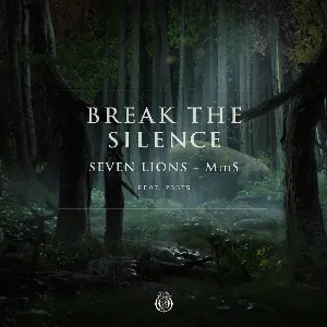 Pochette de Break the Silence de Seven Lions