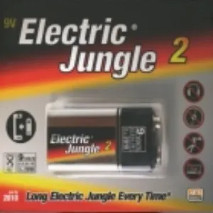 Pochette de Electric Jungle 2 de Jean-Michel Vallet