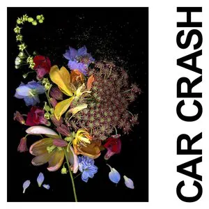 Pochette de Car Crash de IDLES
