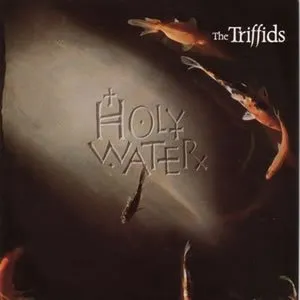 Pochette de Holy Water de The Triffids