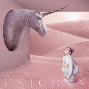 Pochette UNICORN