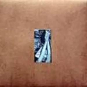 Pochette de The Book of Pressure de Sunburned Hand of the Man