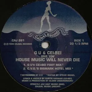 Pochette de House Music Will Never Die de Glenn Underground