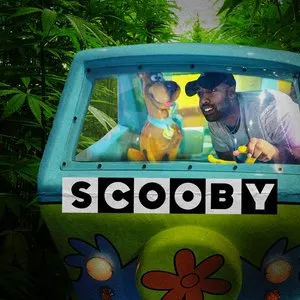 Pochette de Scooby de Costa