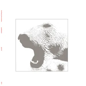 Pochette de Quadrilateral de No Sleep by the Machine