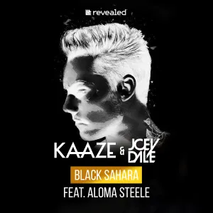 Pochette de Black Sahara de Kaaze