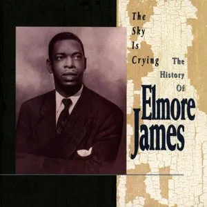 Pochette The Sky Is Crying: The History of Elmore James