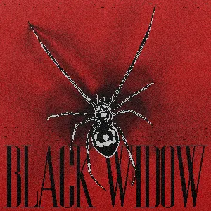 Pochette de BLACK WIDOW de Alok