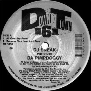 Pochette de Da Pimpdoggy de DJ Sneak