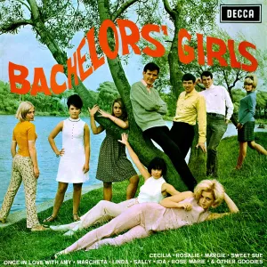 Pochette de The Bachelors de The Bachelors