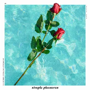 Pochette de Simple Pleasures de Limi