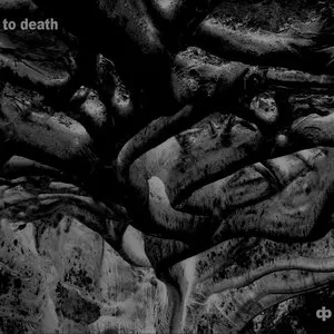 Pochette de to death de Dave Phillips