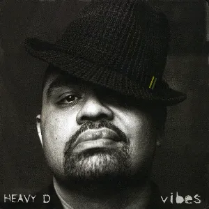 Pochette de Vibes de Heavy D