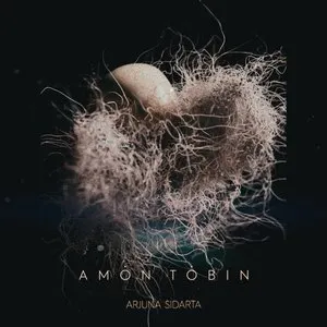 Pochette de Arjuna Sidarta de Amon Tobin