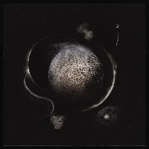 Pochette de Vapula Omega de Enthroned