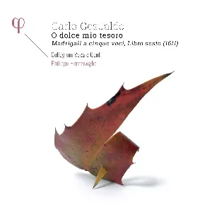 Pochette de O dolce mio tesoro de Philippe Herreweghe - Collegium Vocale Gent - Carlo Gesualdo