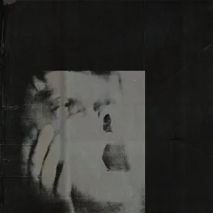 Pochette de Never Exhale de DITZ