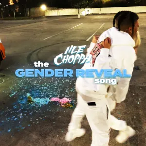 Pochette de The Gender Reveal Song de NLE Choppa