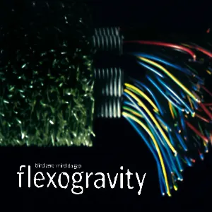 Pochette de Flexogravity de Mind da Gap - Blind Zero