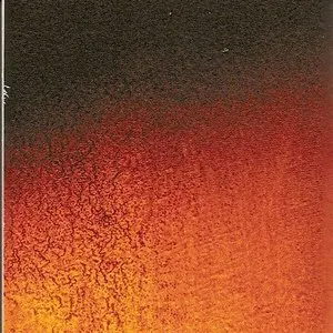Pochette de Violichte de Maurizio Bianchi