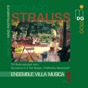 Pochette de Music for Wind Instruments, Vol. 1 de Richard Strauss - Ensemble Villa Musica