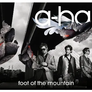 Pochette Foot Of The Mountain (Digital Version)