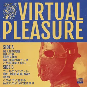 Pochette de acceptance lp de VIRTUAL PLEASURE