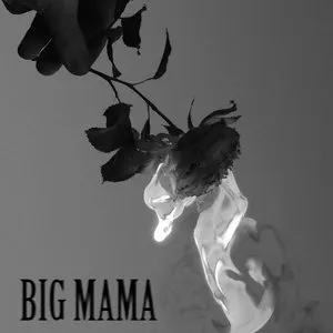 Pochette de Without Me de Big Mama