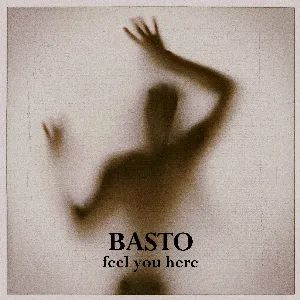 Pochette de Feel You Here de Basto