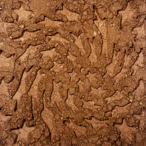 Pochette de Unerthed: Hole Erth Unplugged de Toro y Moi