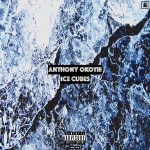 Pochette de Ice Cubes de A.I.D