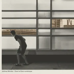 Pochette de Dans la forêt numérique de Jérôme Minière