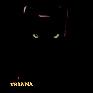 Pochette de Un encuentro de Triana