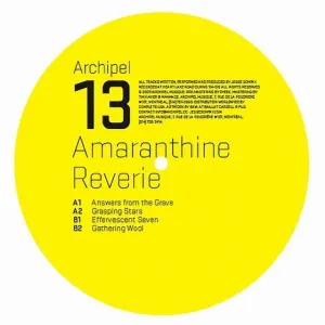 Pochette de Amaranthine Reverie de Jesse Somfay